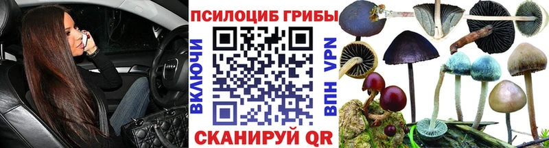 даркнет состав  Керчь  Галлюциногенные грибы Cubensis 