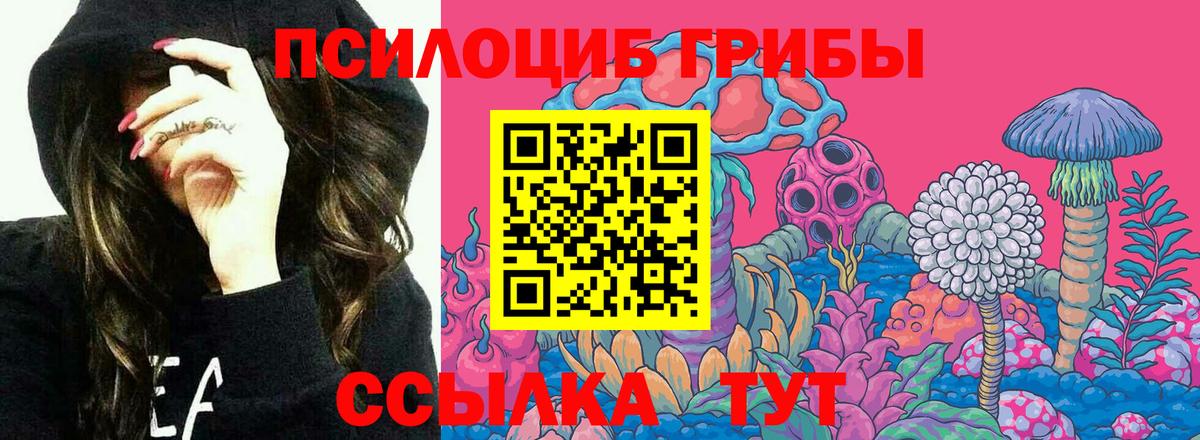 Керчь  Галлюциногенные грибы Magic Shrooms  Вход с VPN 